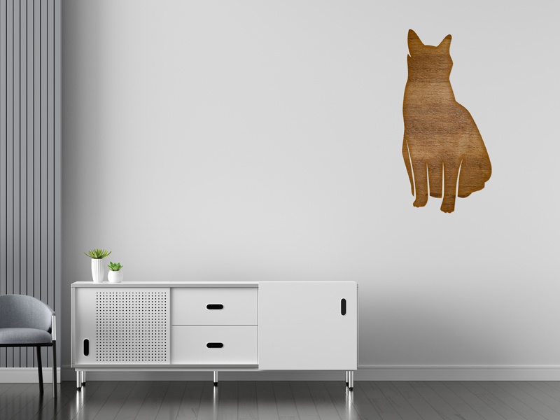 kedi-jpg
